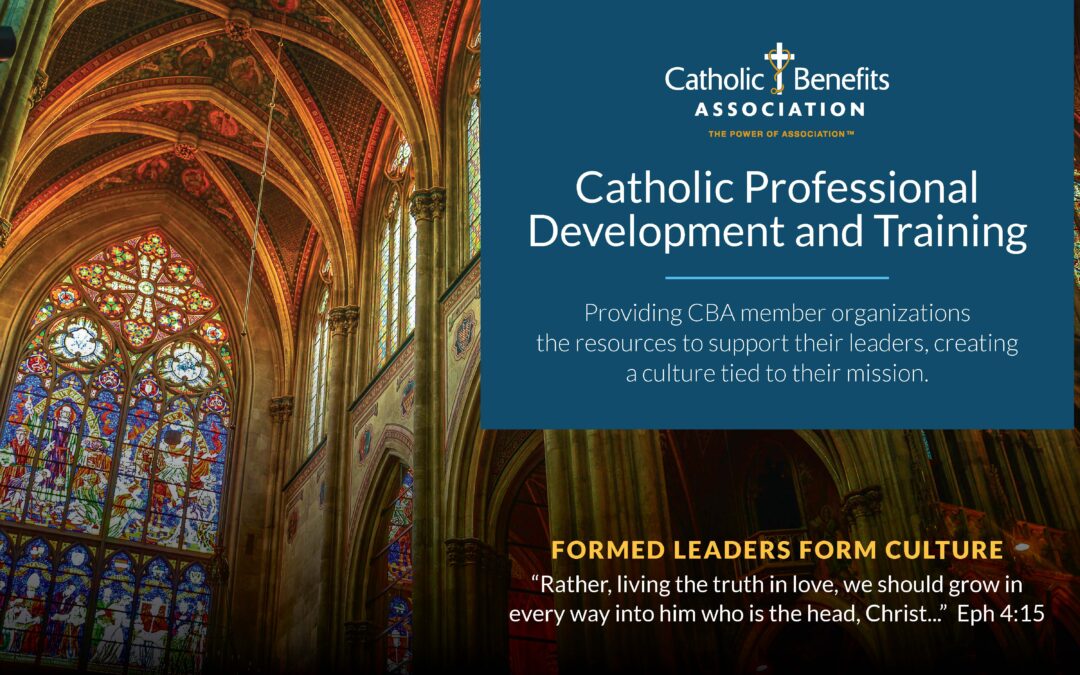 Introducing Catholic Professional Development
